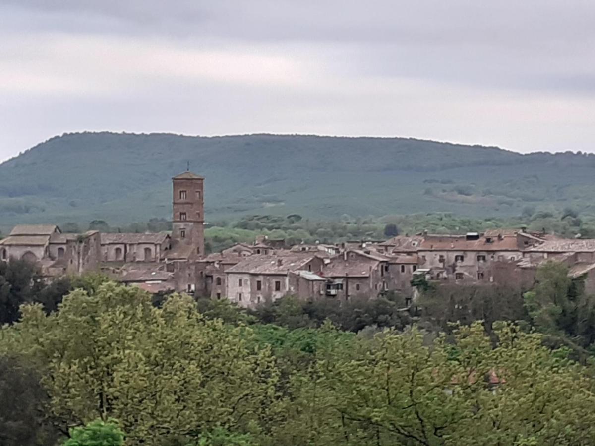 Alloggio Turistico ストリ エクステリア 写真